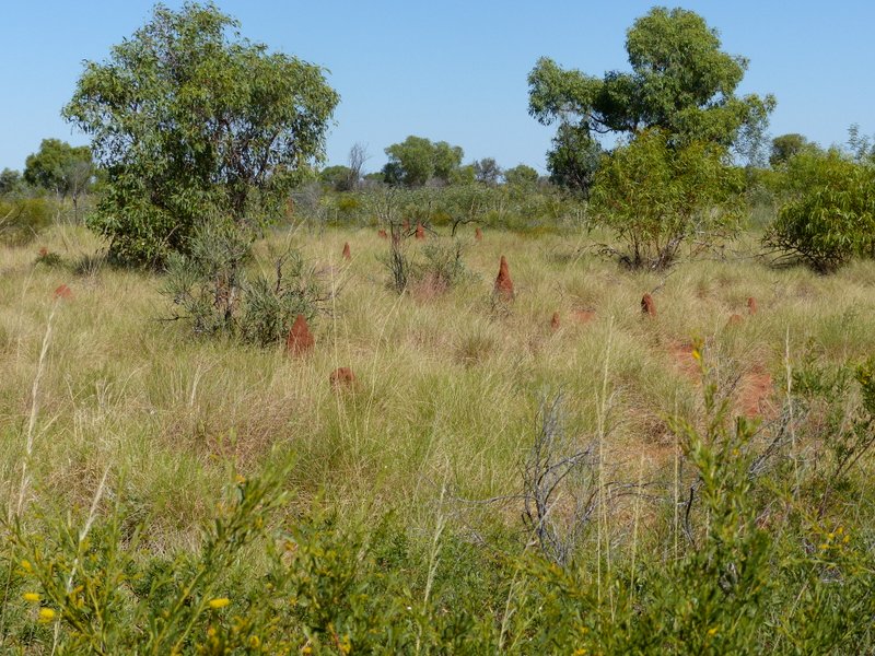 1. Northern Territory